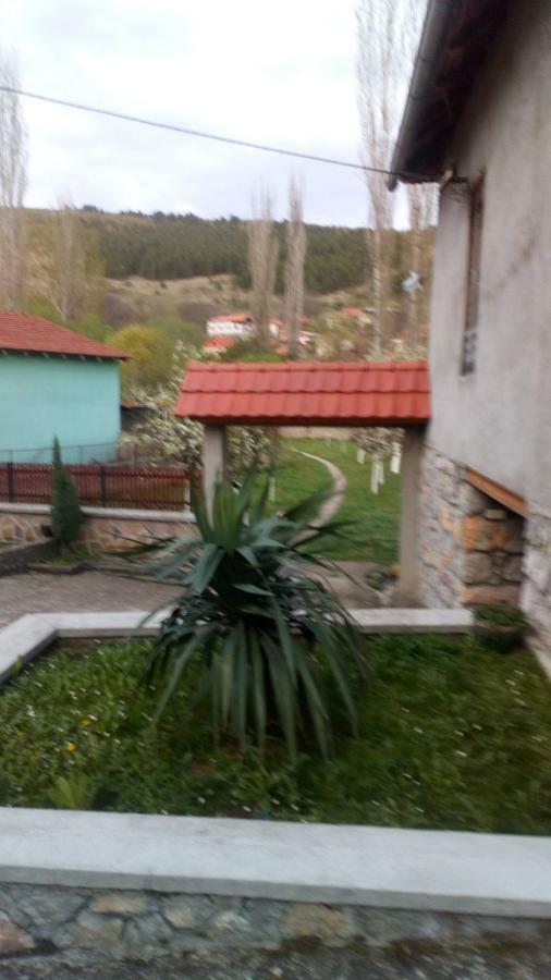 Guest House Green View Pirot Exterior photo